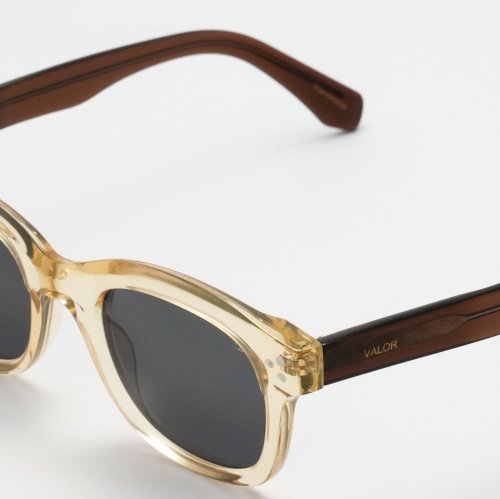 VALOR/V006/BROWN