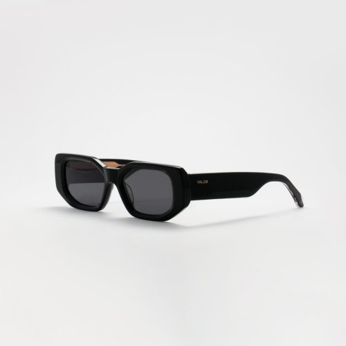 VALOR/M1206