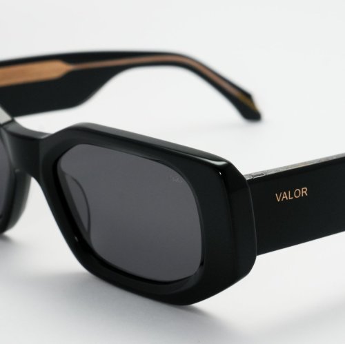 VALOR/M1206
