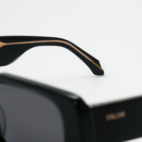 VALOR/M1206