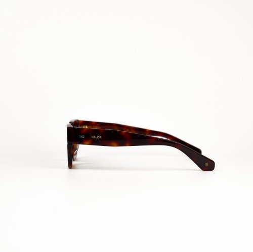VALOR/E1220/TURTOISE